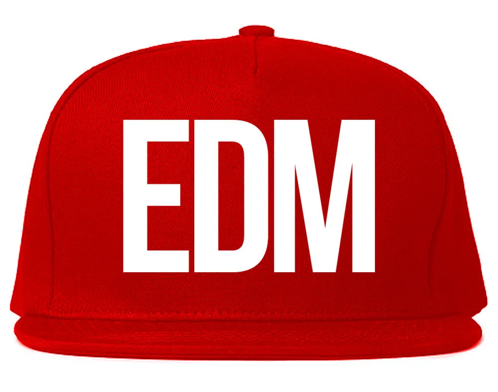 EDM Music Snapback Hat